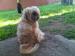 lUvMyLaB<3's Avatar